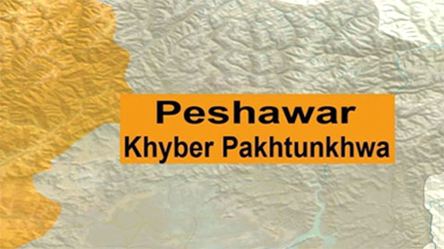 56 new drug inspectors to be inducted in KP health dept
