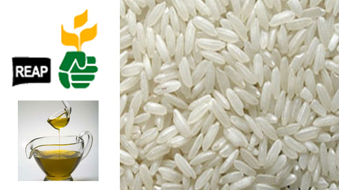 REAP RBO India delegation business news.