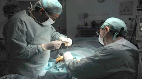 Tourists flock to Morocco for sun, sea and… surgery