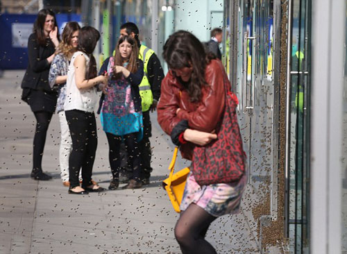 woman is surrounded