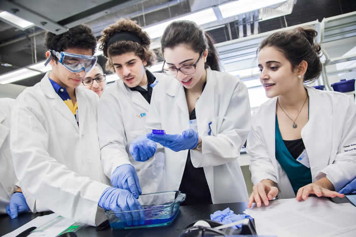 Science Students Are Always Given Importance Over Arts Students