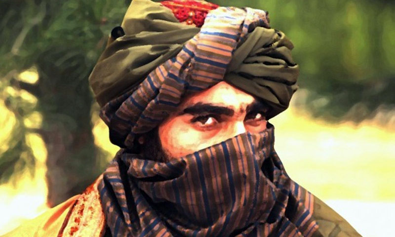 glorification of terrorists