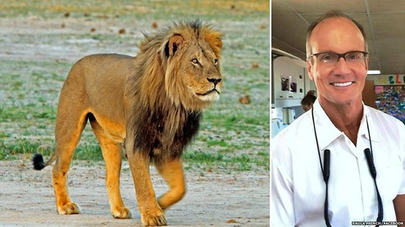 US man kills lion